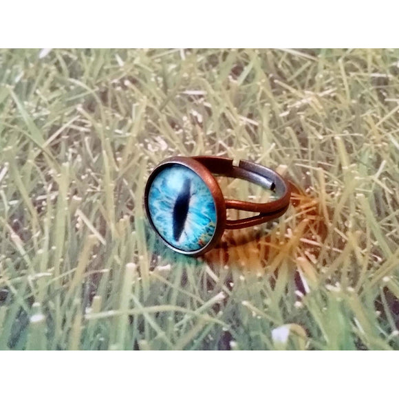 Frost Dragon Eye Adjustable Ring